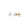 Pearl Stud Earrings|Majorica Earrings Lyra Gold Plated With 12Mm White Pearl