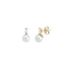 Tu & Yo Earrings|Majorica Earrings Selene Gold Plated With 8Mm White Pearl And Zircons
